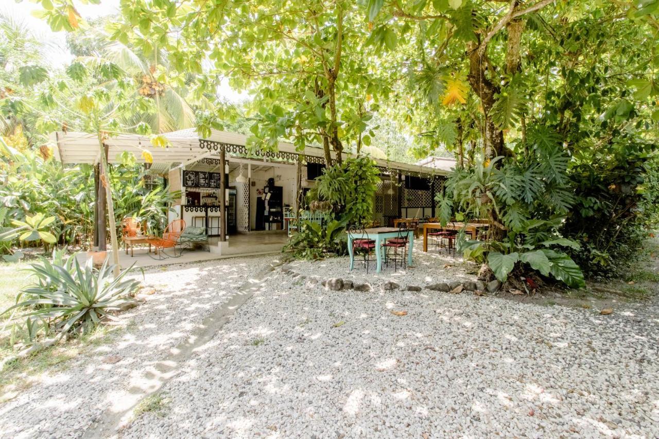 Bajo El Arbol B&B Playa Santa Teresa  Exterior foto